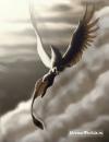 drago
